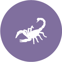 Scorpio
